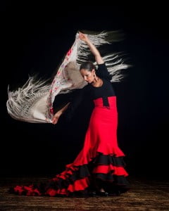 Flamenco 3