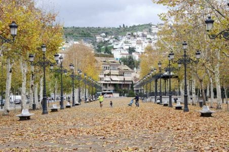 a_bicha-paseo-del-salon-a