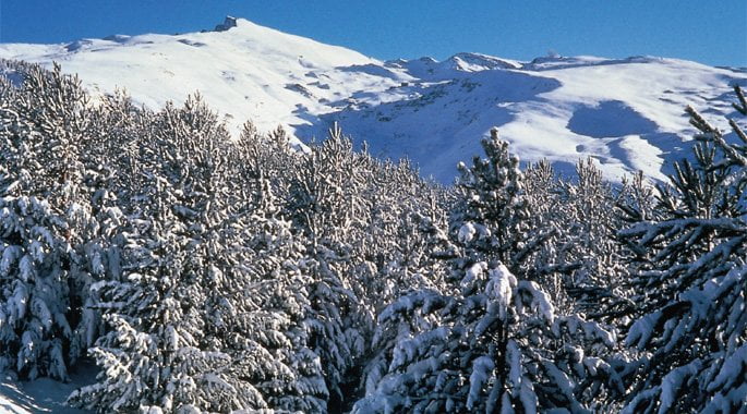 Sierra Nevada, esquí en Granada